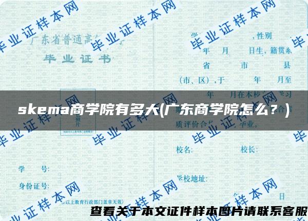 skema商学院有多大(广东商学院怎么？)