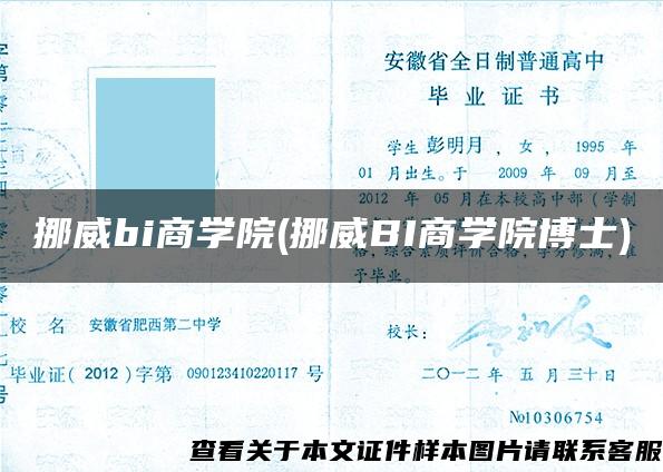 挪威bi商学院(挪威BI商学院博士)