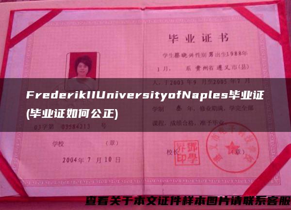 FrederikIIUniversityofNaples毕业证(毕业证如何公正)