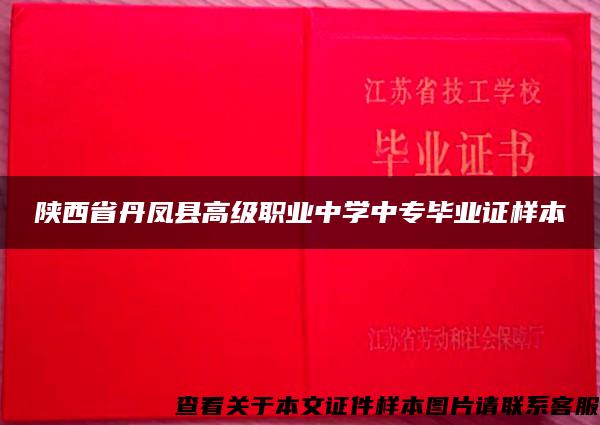 陕西省丹凤县高级职业中学中专毕业证样本