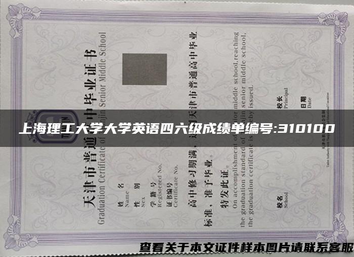 上海理工大学大学英语四六级成绩单编号:310100