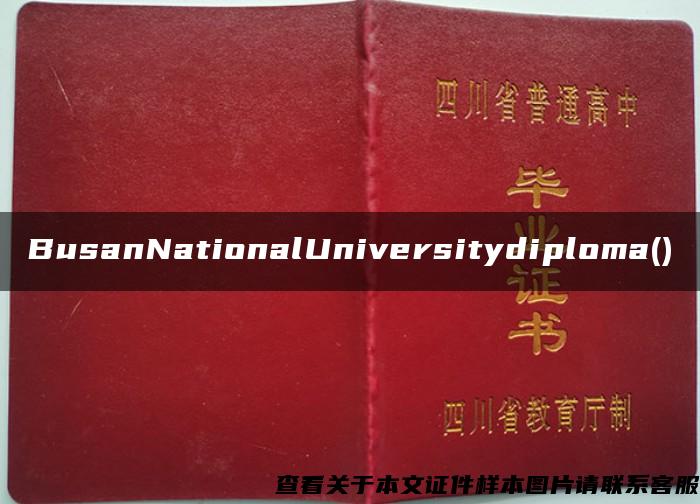 BusanNationalUniversitydiploma()