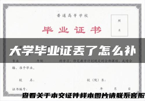 大学毕业证丢了怎么补