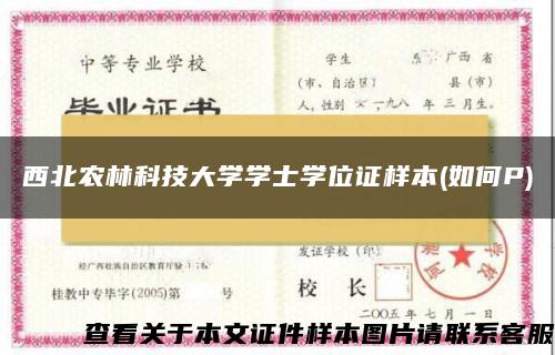 西北农林科技大学学士学位证样本(如何P)