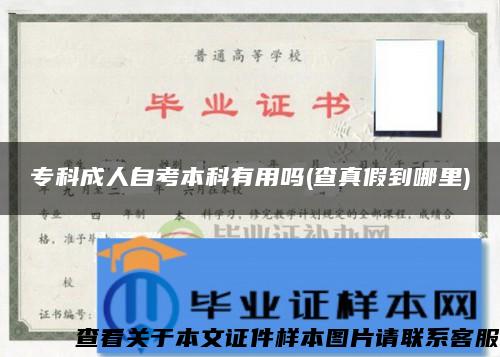 专科成人自考本科有用吗(查真假到哪里)