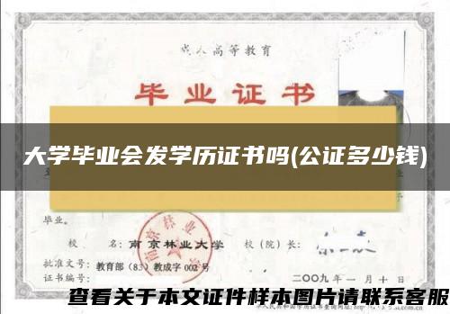 大学毕业会发学历证书吗(公证多少钱)