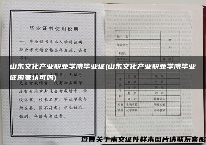 山东文化产业职业学院毕业证(山东文化产业职业学院毕业证国家认可吗)