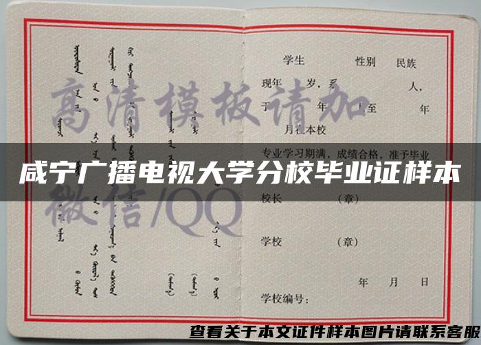 咸宁广播电视大学分校毕业证样本