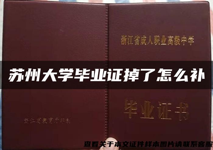 苏州大学毕业证掉了怎么补