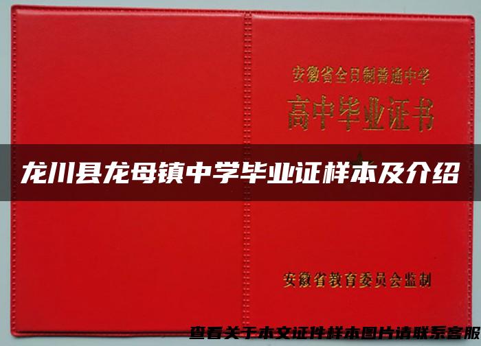 龙川县龙母镇中学毕业证样本及介绍