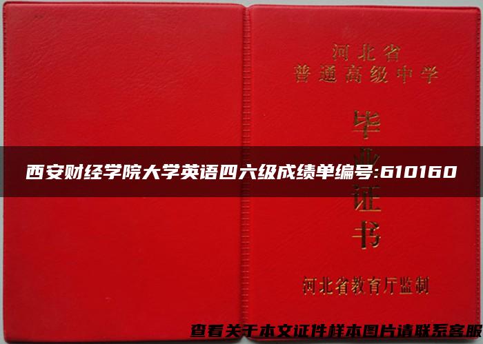 西安财经学院大学英语四六级成绩单编号:610160