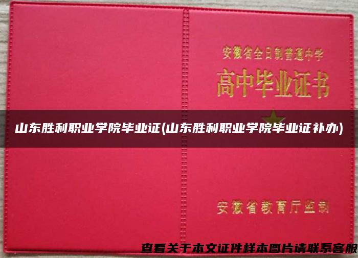 山东胜利职业学院毕业证(山东胜利职业学院毕业证补办)