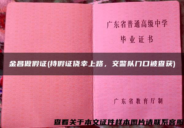 金昌做假证(持假证侥幸上路，交警队门口被查获)