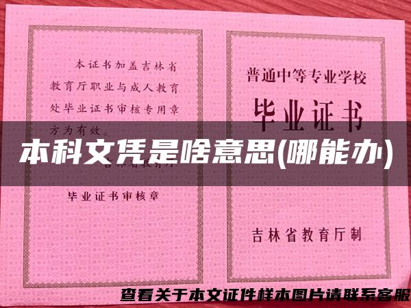 本科文凭是啥意思(哪能办)