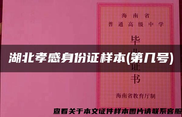 湖北孝感身份证样本(第几号)