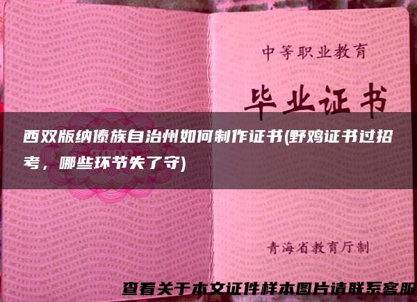 西双版纳傣族自治州如何制作证书(野鸡证书过招考，哪些环节失了守)