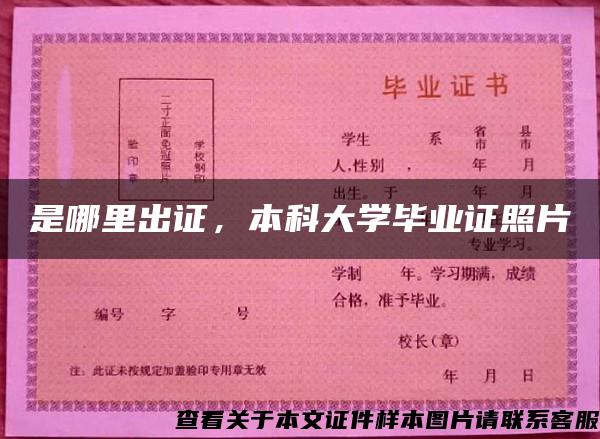 是哪里出证，本科大学毕业证照片