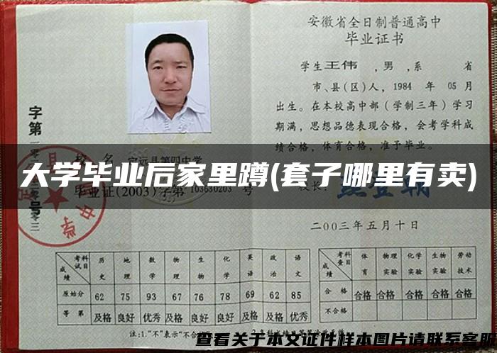 大学毕业后家里蹲(套子哪里有卖)