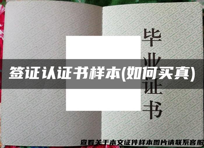 签证认证书样本(如何买真)