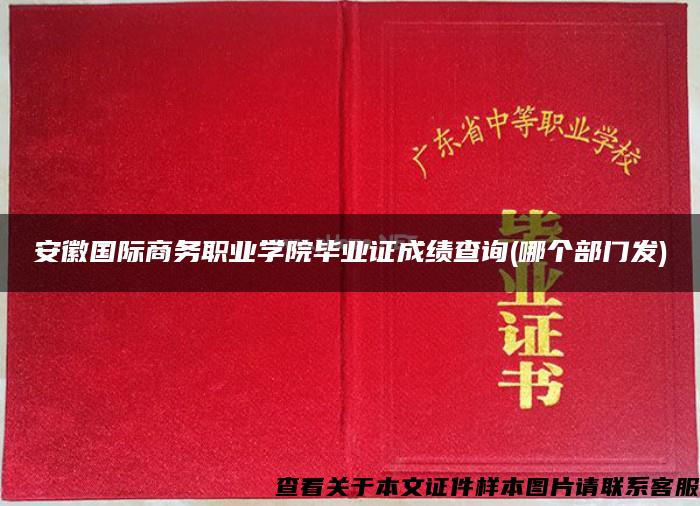 安徽国际商务职业学院毕业证成绩查询(哪个部门发)