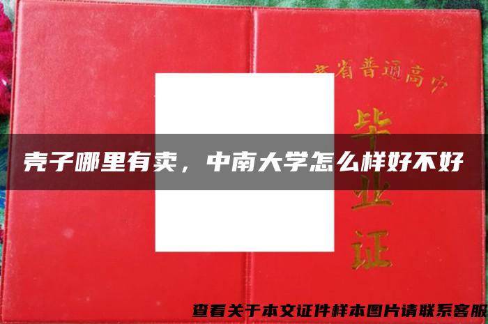 壳子哪里有卖，中南大学怎么样好不好