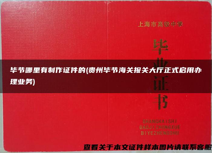 毕节哪里有制作证件的(贵州毕节海关报关大厅正式启用办理业务)