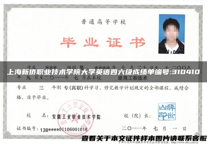 上海新侨职业技术学院大学英语四六级成绩单编号:310410