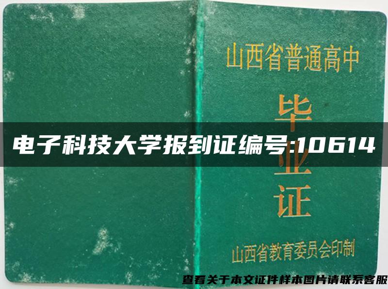 电子科技大学报到证编号:10614