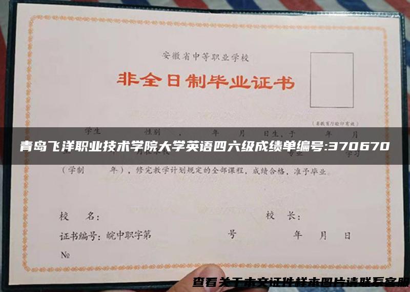 青岛飞洋职业技术学院大学英语四六级成绩单编号:370670