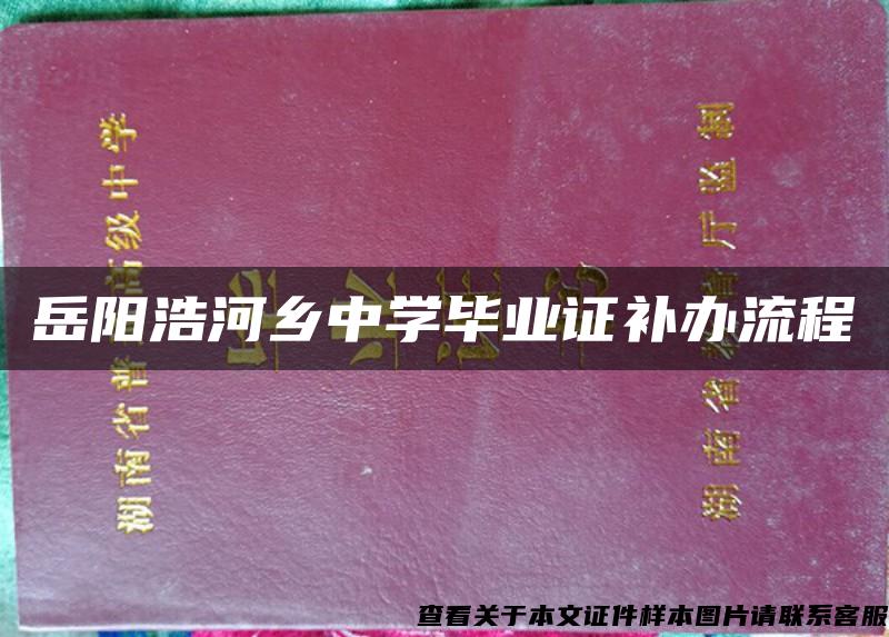 岳阳浩河乡中学毕业证补办流程