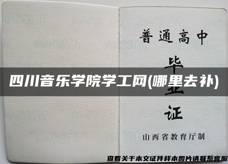 四川音乐学院学工网(哪里去补)