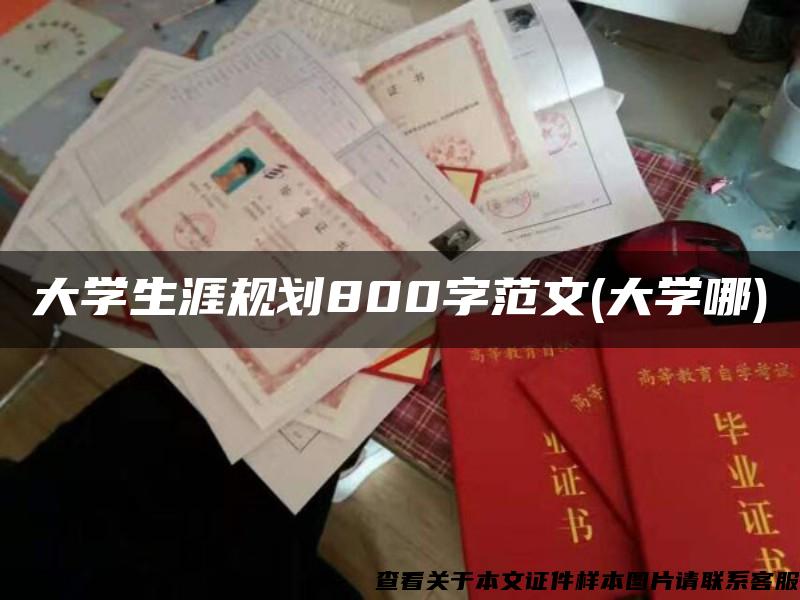 大学生涯规划800字范文(大学哪)