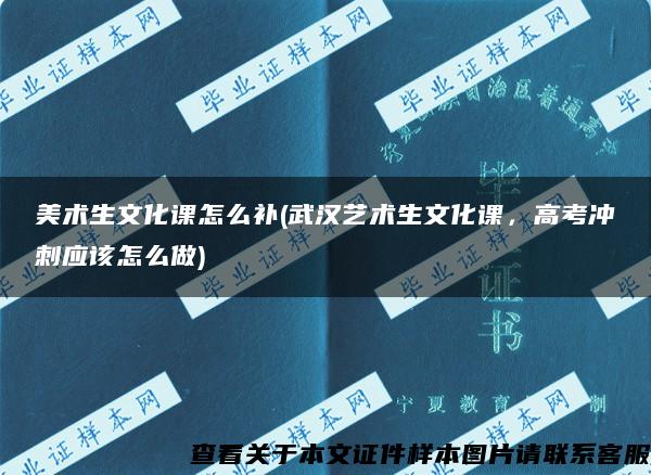 美术生文化课怎么补(武汉艺术生文化课，高考冲刺应该怎么做)