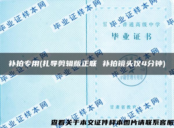 补拍专用(扎导剪辑版正联 补拍镜头仅4分钟)