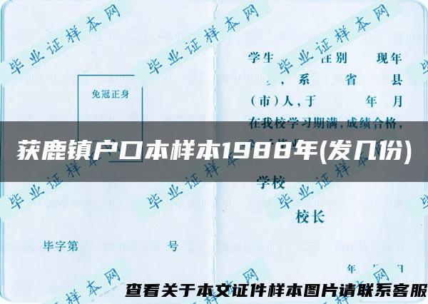 获鹿镇户口本样本1988年(发几份)