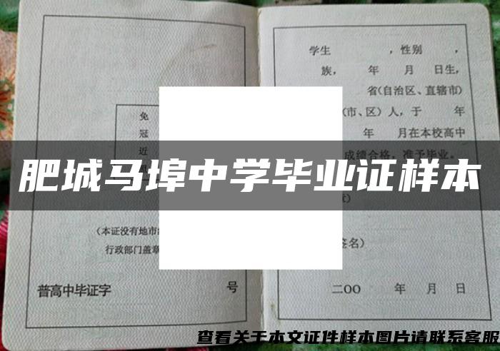 肥城马埠中学毕业证样本