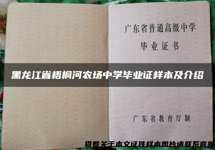 黑龙江省梧桐河农场中学毕业证样本及介绍