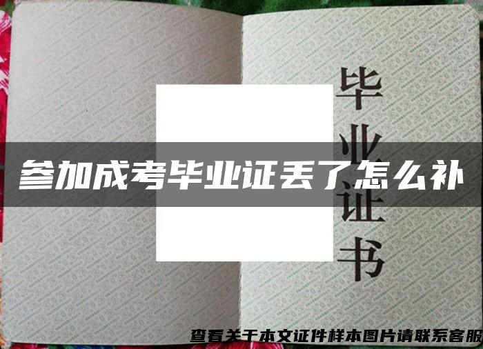 参加成考毕业证丢了怎么补