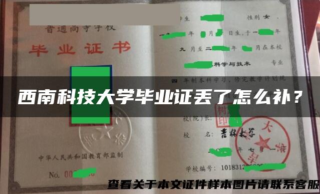 西南科技大学毕业证丢了怎么补？