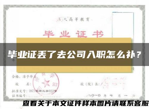 毕业证丢了去公司入职怎么补？