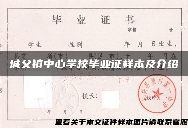 城父镇中心学校毕业证样本及介绍