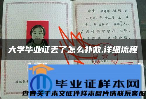 大学毕业证丢了怎么补救,详细流程