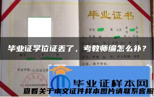 毕业证学位证丢了，考教师编怎么补？