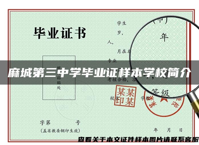 麻城第三中学毕业证样本学校简介