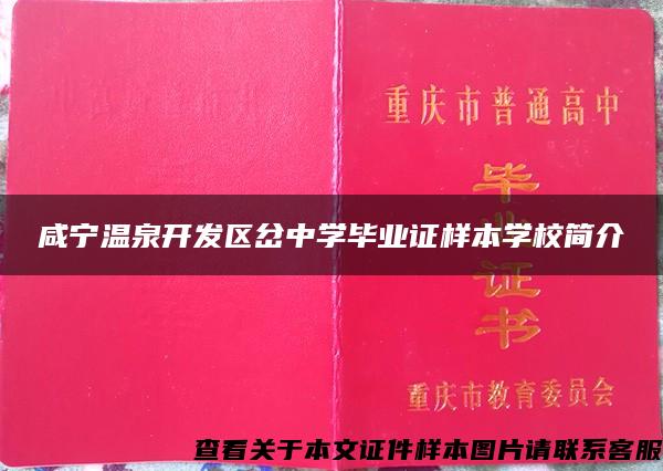 咸宁温泉开发区岔中学毕业证样本学校简介