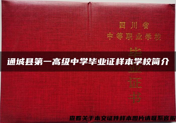 通城县第一高级中学毕业证样本学校简介