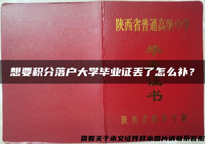 想要积分落户大学毕业证丢了怎么补？