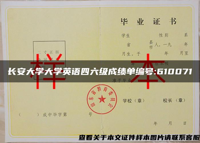 长安大学大学英语四六级成绩单编号:610071