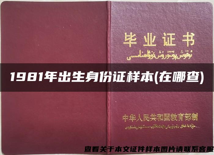 1981年出生身份证样本(在哪查)