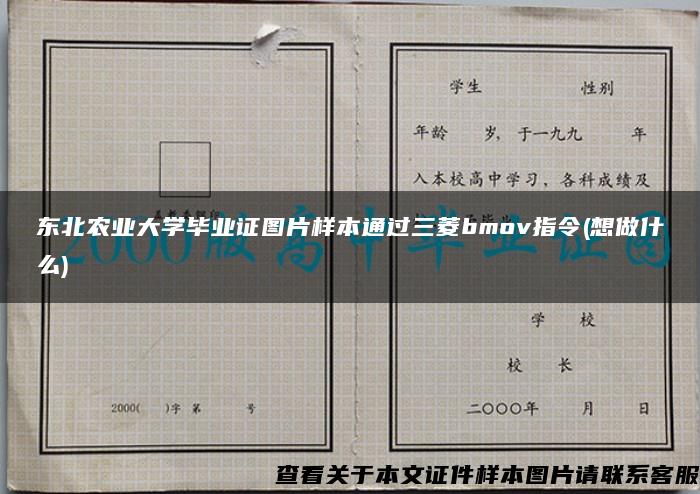 东北农业大学毕业证图片样本通过三菱bmov指令(想做什么)